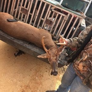 Meet your Posher, Warren greene